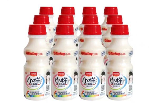 小样乳酸菌330ml