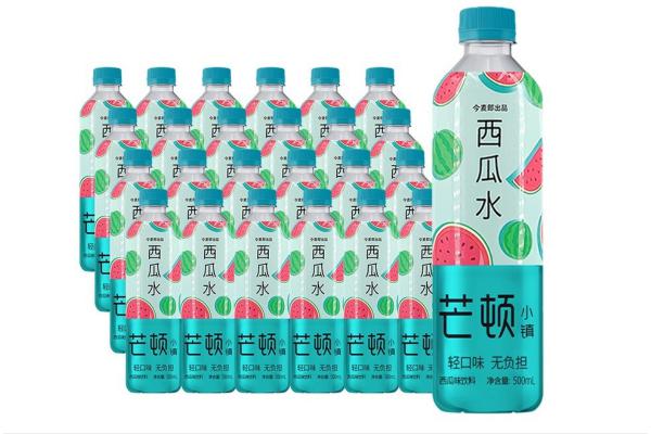 芒顿小镇西瓜水500ml